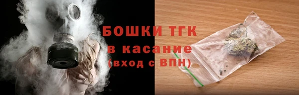 дмт Нея
