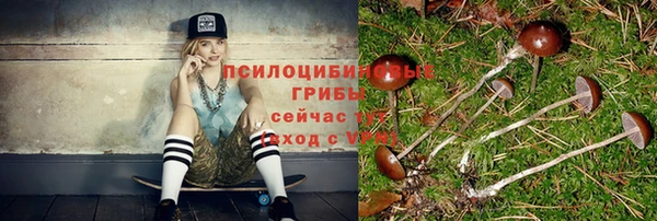 ALPHA PVP Нефтекумск