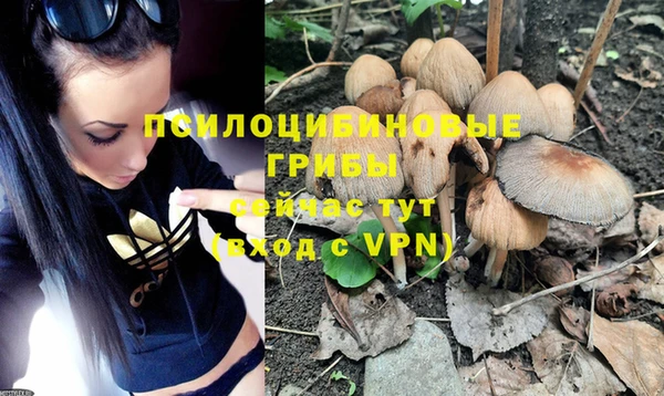 apvp Нефтегорск