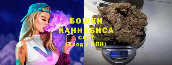 дмт Нея