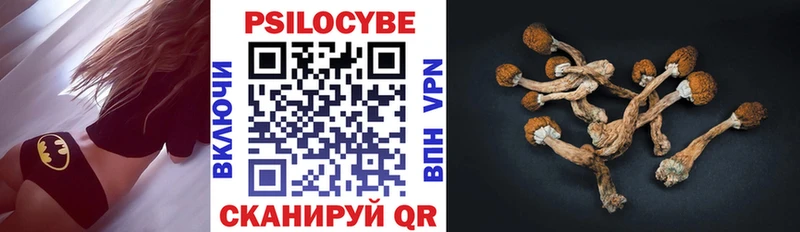 цена наркотик  Тимашёвск  Галлюциногенные грибы Psilocybine cubensis 